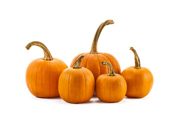 Pumpkins with stems on a white background, showcasing autumn harvest atmosphere.