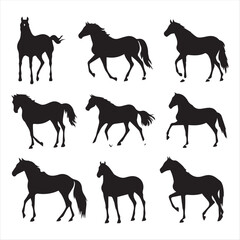 horse silhouettes set
