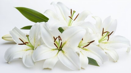 A bouquet of elegant white lilies with green leaves, symbolizing purity and beauty.