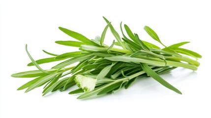 Fototapeta premium Fresh sage leaves in a bundle on white background Generative AI