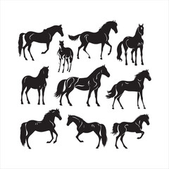 silhouette of a horse