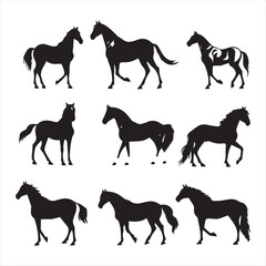 silhouette of a horse