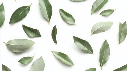 Naklejka premium Green Bay Leaves Floating on White Background Generative AI