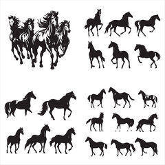 silhouette of a horse