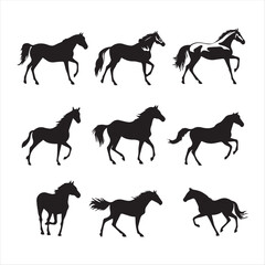 silhouette of a horse