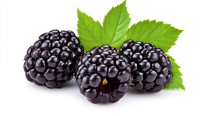 Fresh blackberries with green leaves on white background Generative AI