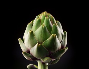Fototapeta premium Close up de una alcachofa verde sana para una dieta saludable aislada en fondo negro