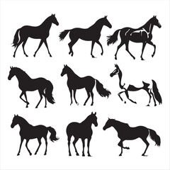 silhouette of a horse