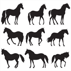 silhouette of a horse