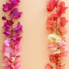 Obraz premium Colorful Bougainvillea flowers on soft color background, romantic feminine composition, wedding invitation concept.