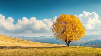 Fototapeta premium Countryside landscape with clouds.