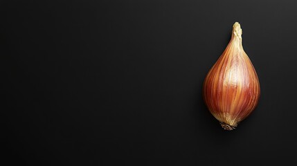 A single shallot on a dark background, showcasing its texture and color.