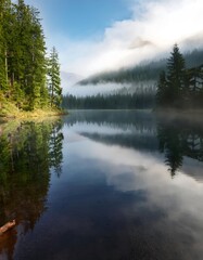 Fototapeta premium A serene mountain lake reflecting fog and forest at dawn, offering a peaceful escape in natures embrace. Generative AI