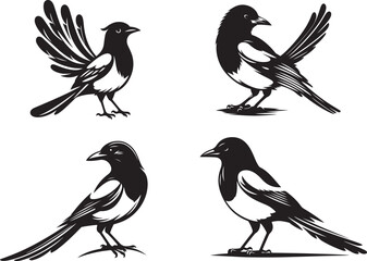 Magpie bird silhouette vector illustration