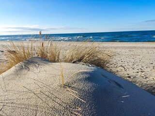 sand dunes on the beach