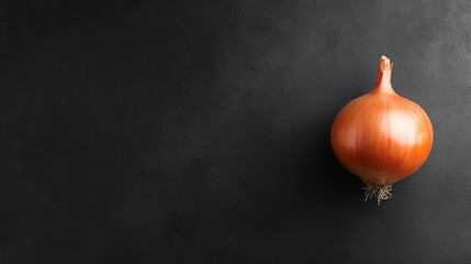A single onion rests on a dark surface, highlighting its texture and color.