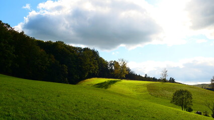 Wiesen, Felder, Wälder, Wienerwald