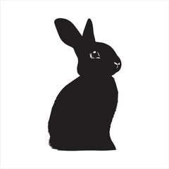 rabbit with a background