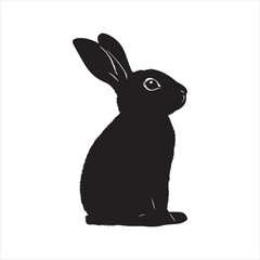 rabbit with a background