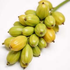 Ripe Saw Palmetto Fruits Against White Background Conceptual Product Photography