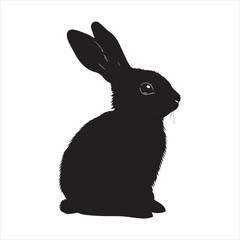 rabbit with a background