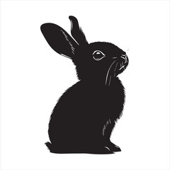 rabbit with a background