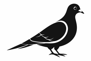 A cute Mourning Dove bird for log silhouette black Vector art illustration