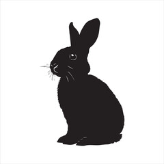 rabbit with a background