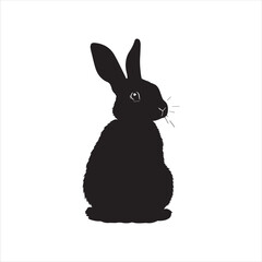 rabbit with a background