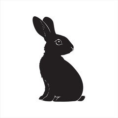 rabbit with a background