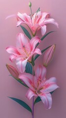 Fototapeta premium Lily flower on soft color background, romantic feminine composition, wedding invitation concept.