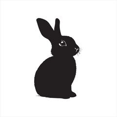 rabbit with a background