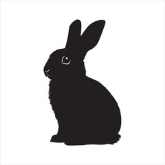 rabbit with a background