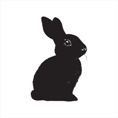 rabbit with a background