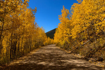 Boreas Pass features a dirt road with stunning views of the beautiful aspen trees, Colorado in autumn