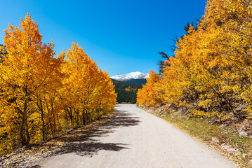 Fototapeta premium A Colorado Mountain Road Trip, The Fall Journey at Boreas Pass, Snow-Capped Mountains and Golden Foliage