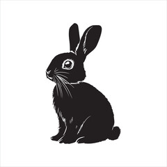 rabbit with a background