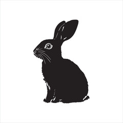 white rabbit isolated on white background