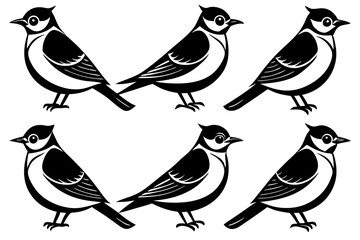 A set of cute birds Cedar Waxwing vector art illustration 