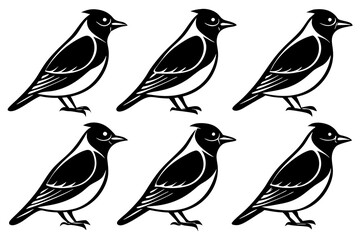 A set of cute birds Cedar Waxwing vector art illustration 