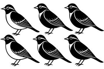 A set of cute birds Cedar Waxwing vector art illustration 