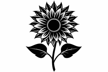 A Sunflower flower silhouette black Vector art illustration