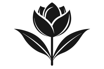A Tulip flower silhouette black Vector art illustration