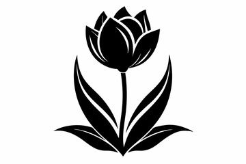 A Tulip flower silhouette black Vector art illustration