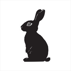 white rabbit isolated on white background