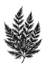 Leaves . Black and white botanical pattern. For use in graphics, materials. Abstract plant shapes. Minimalist illustration for printing on wall decorations.