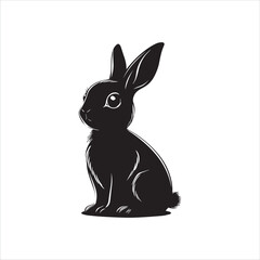 white rabbit isolated on white background