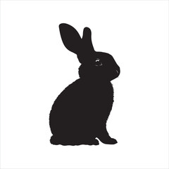 white rabbit isolated on white background