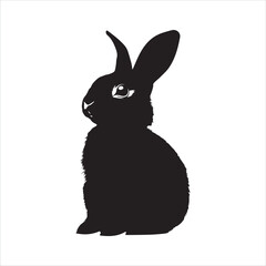 white rabbit isolated on white background