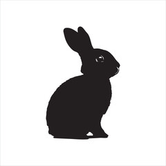 white rabbit isolated on white background